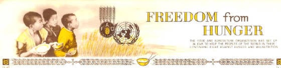 The nations of the entire world issued stamps with the proceeds of the sale of the stamps used to fight hunger throughout the planet.